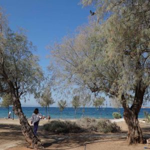 Visitare Atene: itinerario alla scoperta dei luoghi meno conosciuti