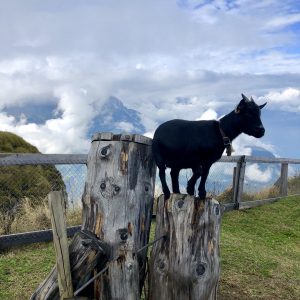 Svizzera: un weekend al Cantone Svitto tra santi e coltelli