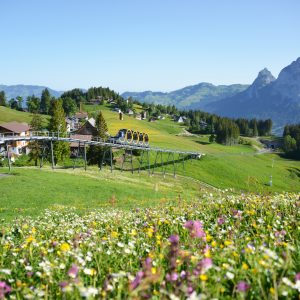 Svizzera: un weekend al Cantone Svitto tra santi e coltelli