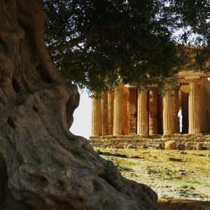 Sicilia, la “Magna Via Francigena”: da Palermo ad Agrigento, tra fede e natura