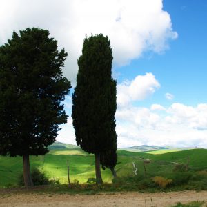 Sicilia, la “Magna Via Francigena”: da Palermo ad Agrigento, tra fede e natura