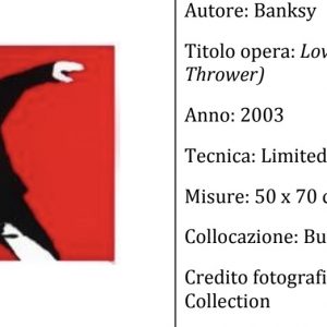 A Milano la mostra: The Art of Banksy al MUDEC