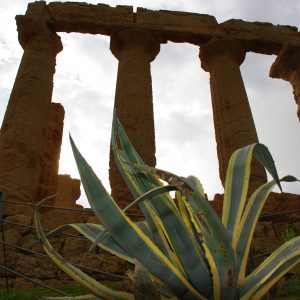 In Sicilia, alla scoperta della vera Vigàta: Porto Empedocle