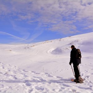 California, sciare in inverno negli Stati Uniti