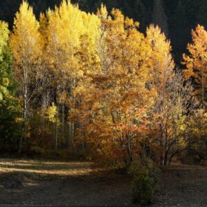 Valle d'Aosta