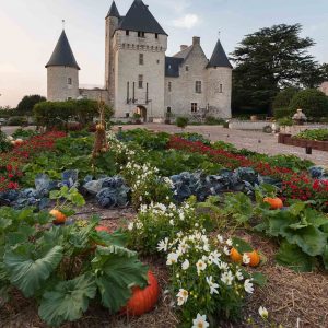 Tra i giardini di Castello di Rivau, arte contemporanea e tulipani