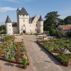 Tra i giardini di Castello di Rivau, arte contemporanea e tulipani