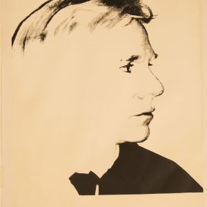 ANDY WARHOL. L’alchimista degli anni Sessanta, in mostra nella Reggia di Monza