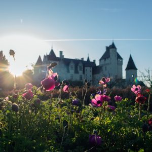 Tra i giardini di Castello di Rivau, arte contemporanea e tulipani