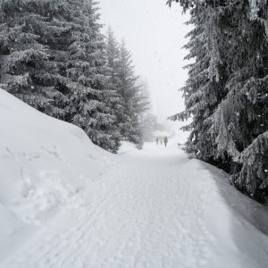 Aletsch Arena, sciare sul più grande ghiacciaio delle Alpi in Svizzera