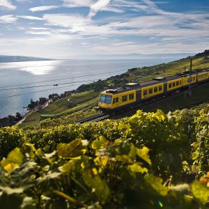 Il trenino dei vigneti che collega i villaggi viticoli del Lavaux tra Vevey e Puidoux offrendo uno scorcio spettacolare sul Lago di Ginevra.