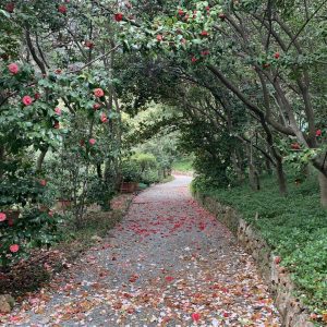 Villa Durazzo, visitare il parco esoterico e botanico a Genova