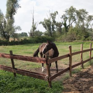 Tenuta Ca’ Zen: dormire in una tenuta signorile sul Delta del Po