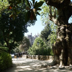 In Portogallo, itinerario del mistero a Quinta da Regaleira