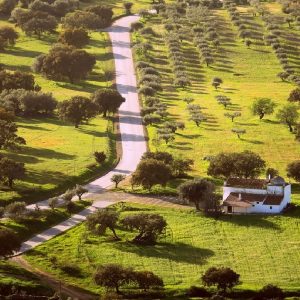 Evora e l’Alentejo, alla scoperta di un misterioso Portogallo