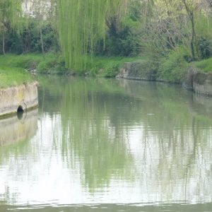 Crociera sul Brenta alla scoperta delle Ville Venete