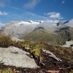 Trenino Verde delle Alpi in Svizzera: l’incanto dell’Oberland Bernese