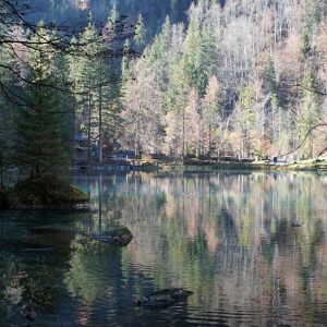 Trenino Verde delle Alpi in Svizzera: l’incanto dell’Oberland Bernese