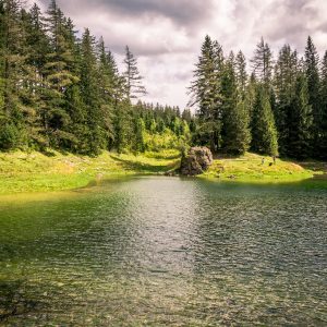 Gruner See, il mistero del lago “che scompare” in Austria