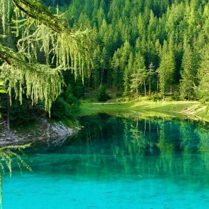 Gruner See, il mistero del lago “che scompare” in Austria