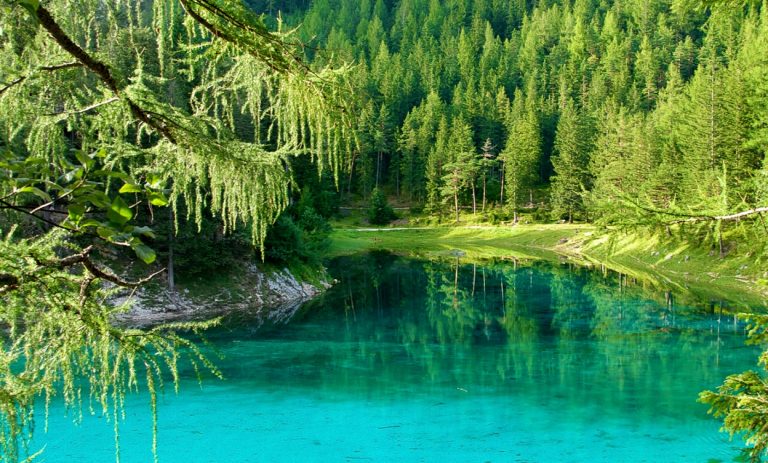 gruner see austria