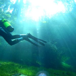 Gruner See, il mistero del lago “che scompare” in Austria