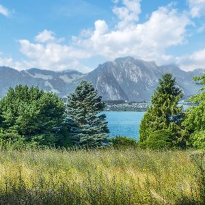 Trenino Verde delle Alpi in Svizzera: l’incanto dell’Oberland Bernese