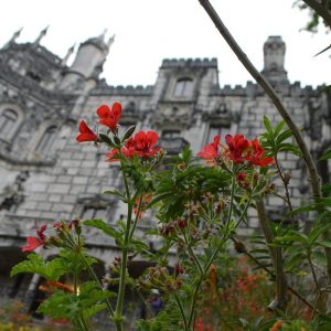 In Portogallo, itinerario del mistero a Quinta da Regaleira