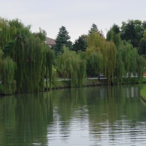 Crociera sul Brenta alla scoperta delle Ville Venete