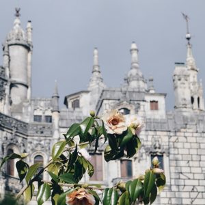 In Portogallo, itinerario del mistero a Quinta da Regaleira