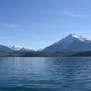 Trenino Verde delle Alpi in Svizzera: l’incanto dell’Oberland Bernese