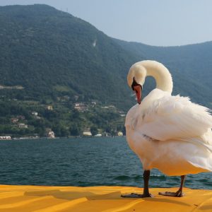 Hotel Araba Fenice, lusso e storia sul lago di Iseo