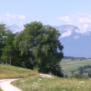 Val di Non: una vacanza nel verde tra storia e cultura