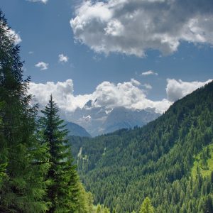 Val di Non: una vacanza nel verde tra storia e cultura