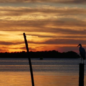 In Belize, itinerario alla ricerca dell’isola di Peter Pan