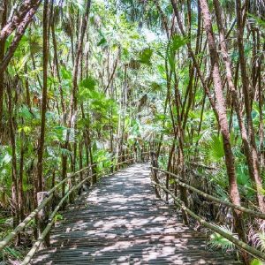 In Belize, itinerario alla ricerca dell’isola di Peter Pan