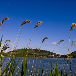 Campania, passeggiata “infernale” intorno al Lago di Averno