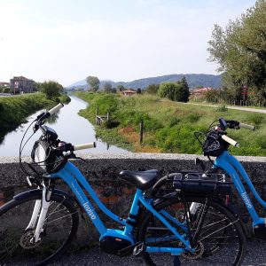 Sul canale Biancolino guardando gli Euganei