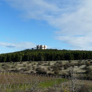 Visitare Castel del Monte in Puglia, sulle tracce dei Templari