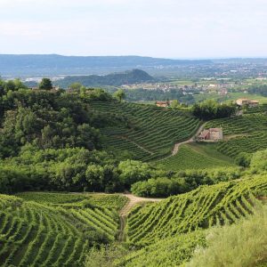 Itinerario in bicicletta sui Colli Euganei sulle tracce del Ruzzante