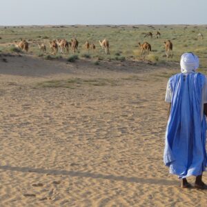 Mauritania ed il mistero dell’occhio del deserto, patrimonio UNESCO