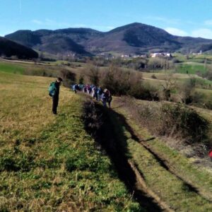 Ferrara torna ai fasti del Rinascimento per il Carnevale degli Este