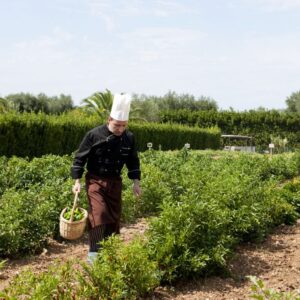 Tenuta Moreno in Puglia: una vacanza green e chic nell’alto Salento