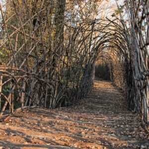 “Art in nature”: vivere e sentire l’arte di Giuliano Mauri al Castello di Padernello