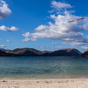 Baja California: viaggio tra balene, deserti di cactus e spiagge incantate