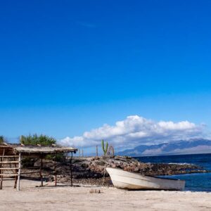 Baja California: viaggio tra balene, deserti di cactus e spiagge incantate