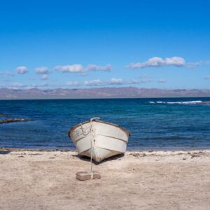 Baja California: viaggio tra balene, deserti di cactus e spiagge incantate