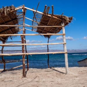 Baja California: viaggio tra balene, deserti di cactus e spiagge incantate