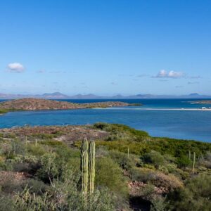 Baja California: viaggio tra balene, deserti di cactus e spiagge incantate