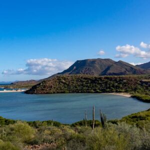 Baja California: viaggio tra balene, deserti di cactus e spiagge incantate